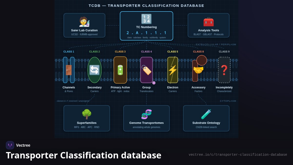 Transporter Classification database — Visual Explainer | Vectree